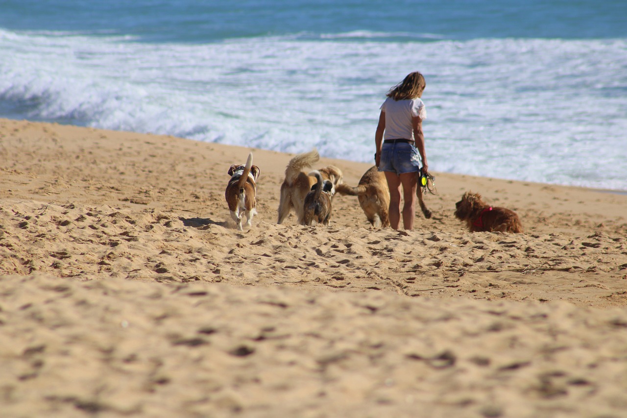 dog walker on beach